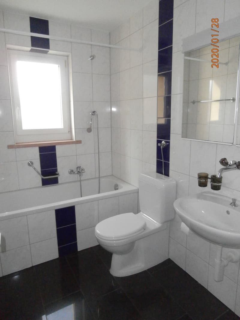 3 1/2 Zimmerwohnung zu vermieten (5)