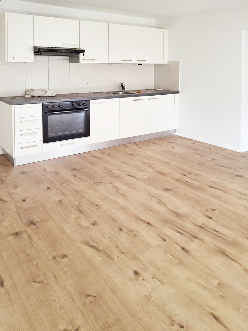 Appartamento di 2,5 locali recentemente ristrutturato con ampio balcone in affitto ad Ascona. (5)