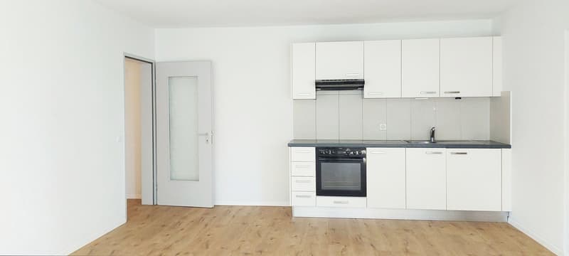 Appartamento di 2,5 locali recentemente ristrutturato con ampio balcone in affitto ad Ascona. (1)