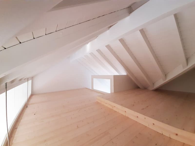 4.5 Zimmer- DG-Maisonettewohnung in Wetzikon (12)