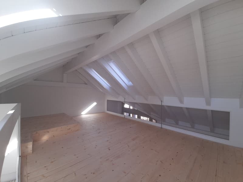 4.5 Zimmer- DG-Maisonettewohnung in Wetzikon (1)