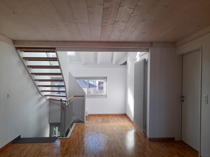 4.5 Zimmer- DG-Maisonettewohnung in Wetzikon (3)