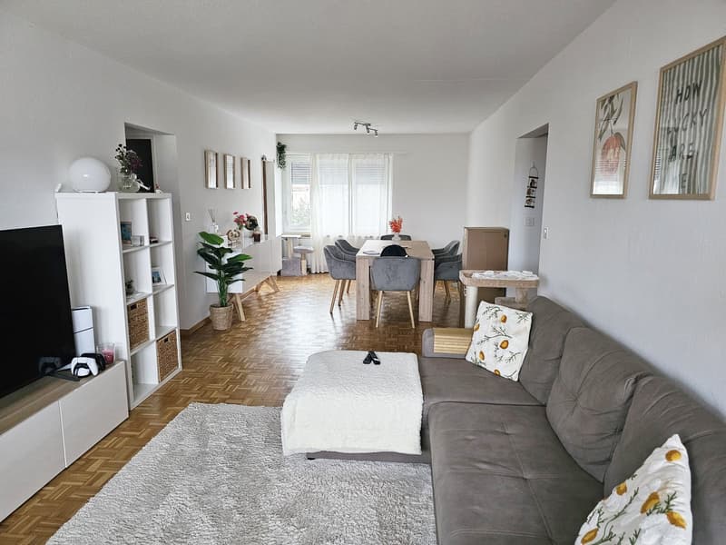 Schöne, gemütliche 2.5-Zimmer-Wohnung mit Balkon in Wetzikon (1)