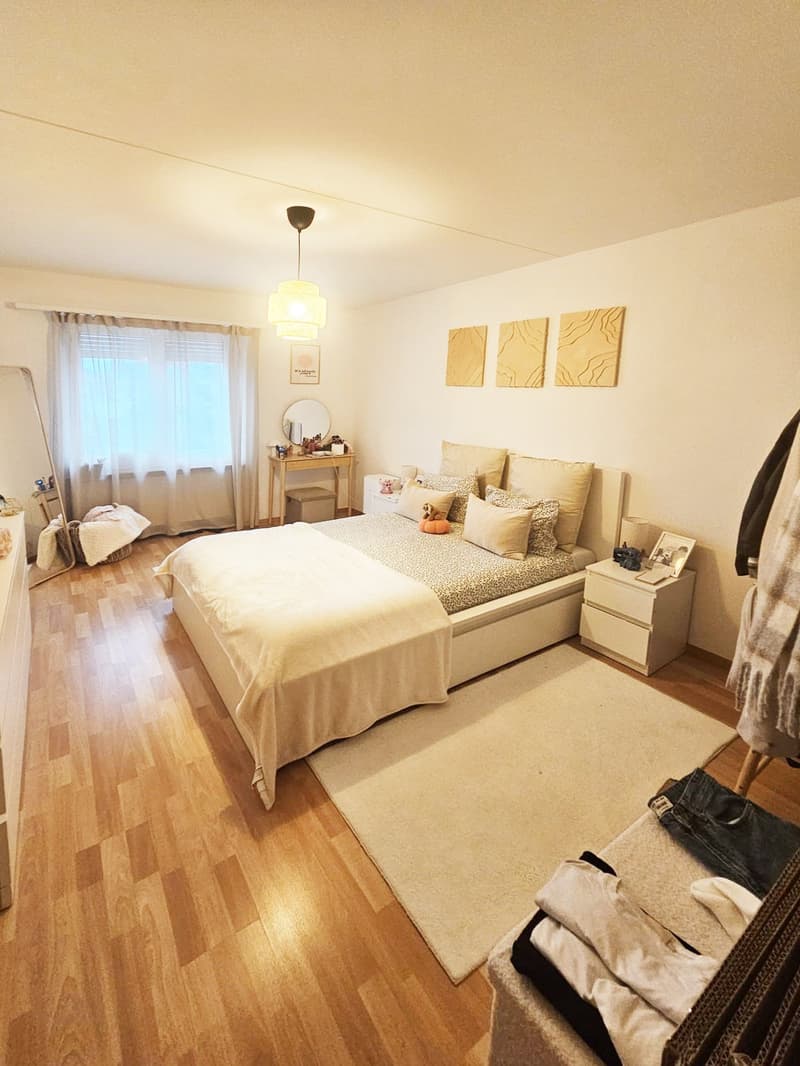 Schöne, gemütliche 2.5-Zimmer-Wohnung mit Balkon in Wetzikon (3)