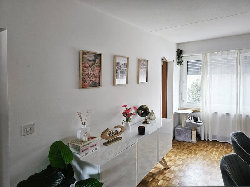 Schöne, gemütliche 2.5-Zimmer-Wohnung mit Balkon in Wetzikon (5)