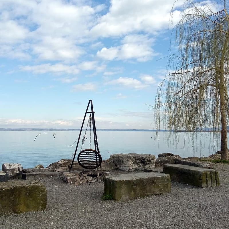 in der Nähe