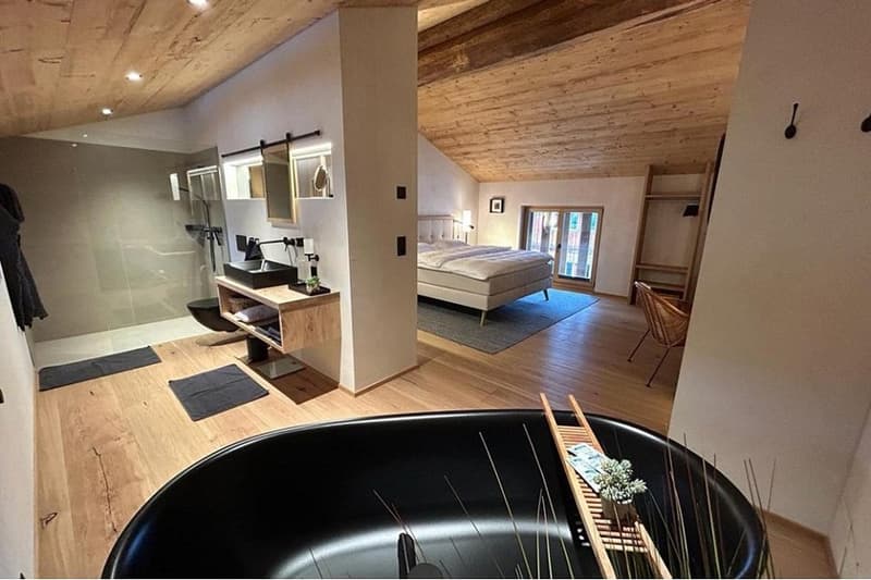 Rental of 2.5-room goat barn in Goms (6)