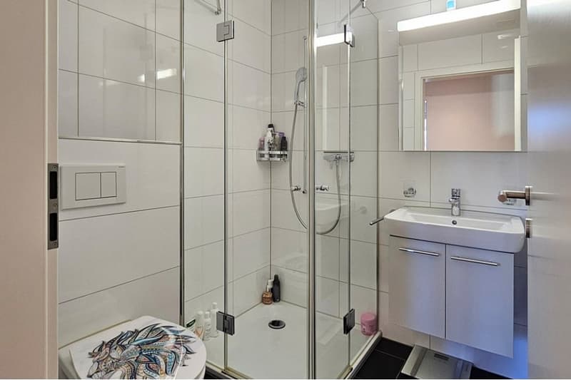 Grosszügige 5.5-Zimmer-Wohnung mit traumhafter Aussicht in Goldau (6)