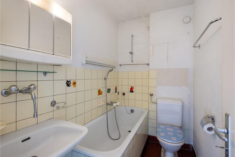 3.5-Zimmer-Dachwohnung mit viel Gestaltungspotenzial (6)