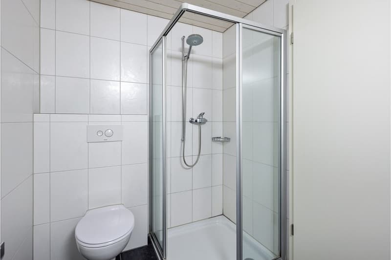 5.5-Zimmer-Reihenmittelhaus mit Garten und ca. 200 m² Nutzfläche (6)