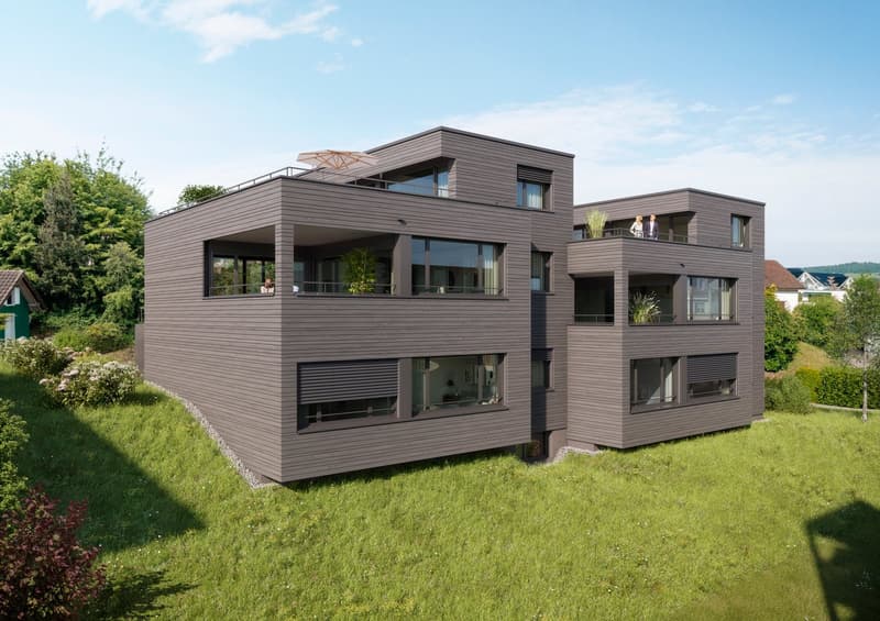 Exklusives Doppeleinfamilienhaus in Holzbauweise an zentraler Lage in Ehrendingen (3)