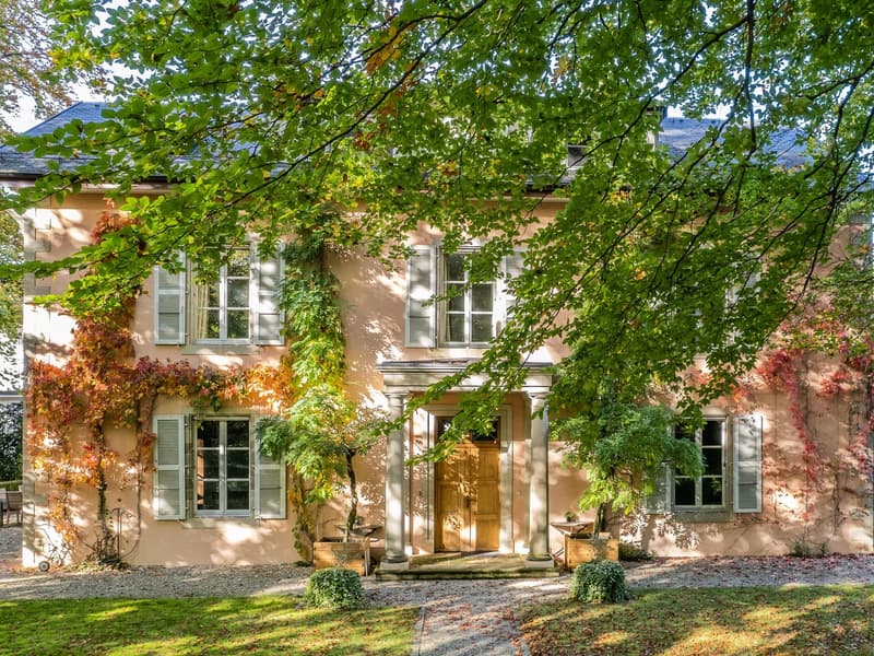 Magnifique villa toscane de 14 pièces à Versoix (2)