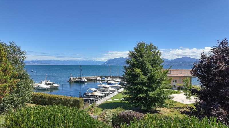 Un endroit à nul autre pareil au bord du lac, entre Genève et Lausanne (8)