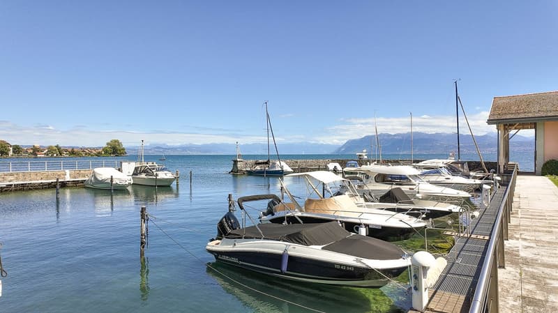 Un endroit à nul autre pareil au bord du lac, entre Genève et Lausanne (9)