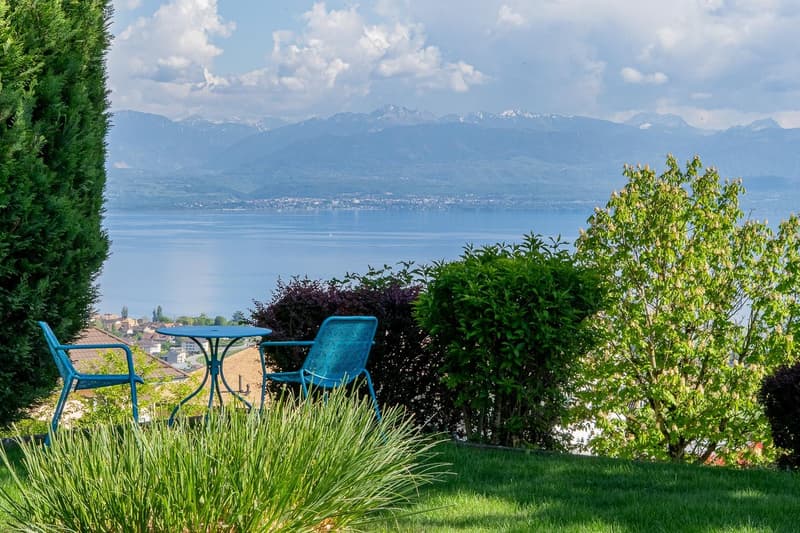 Une vue panoramique en toute intimité à Perroy, surplombant la ville de de Rolle. (9)