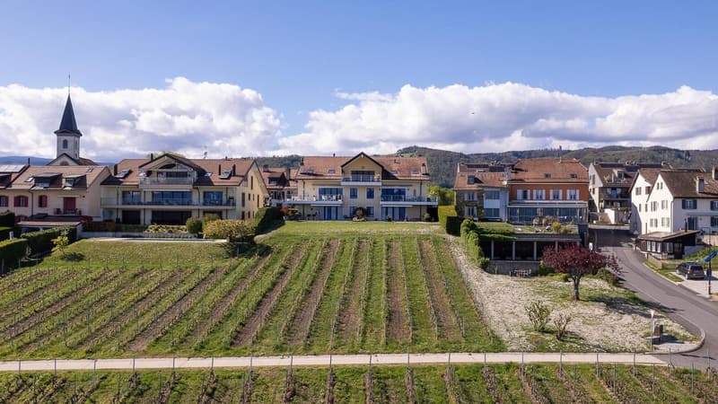 Bursinel - appartement de 3,5 pièces avec vue panoramique sur le lac et les Alpes (14)