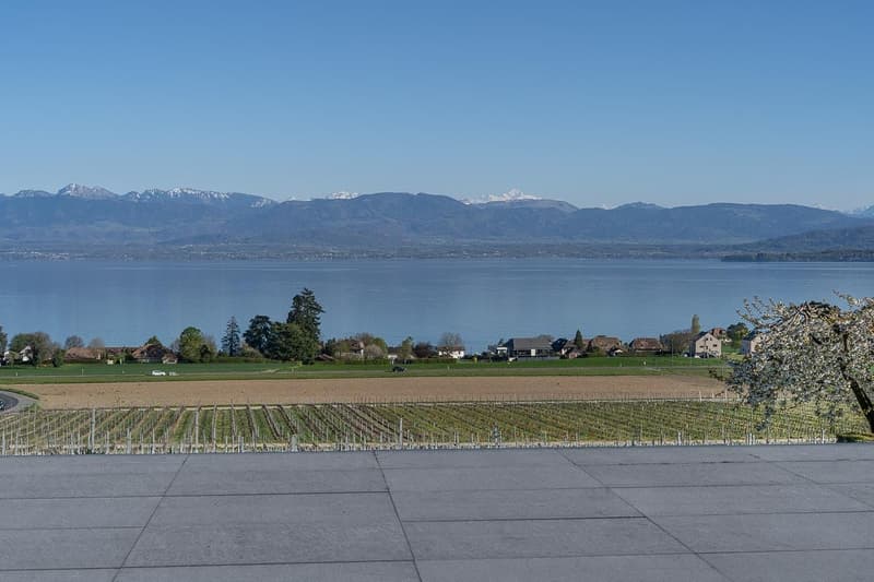 Bursinel - appartement de 3,5 pièces avec vue panoramique sur le lac et les Alpes (6)
