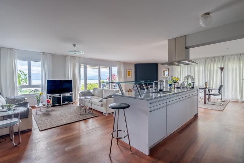 Bursinel - appartement de 3,5 pièces avec vue panoramique sur le lac et les Alpes (7)