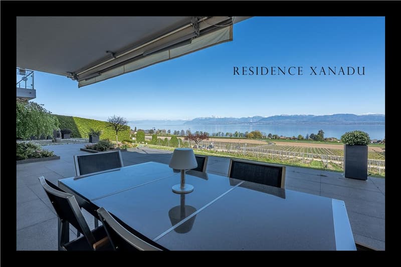 Bursinel - appartement de 3,5 pièces avec vue panoramique sur le lac et les Alpes (3)