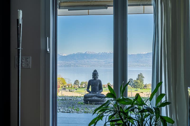 Bursinel - appartement de 3,5 pièces avec vue panoramique sur le lac et les Alpes (10)