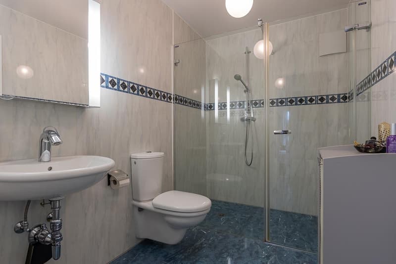 Bursinel - appartement de 135 m2 habitables avec terrasse de 116 m2, face au lac et aux Alpes (8)