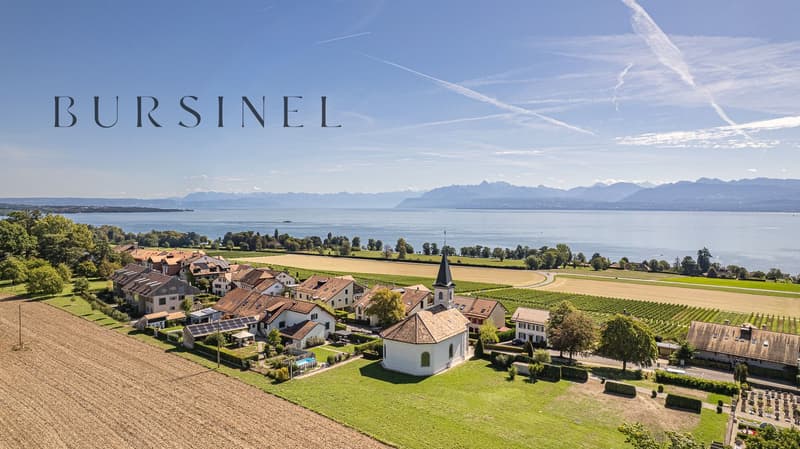 Charmant appartement de 3,5 pièces à Bursinel avec vue panoramique (11)