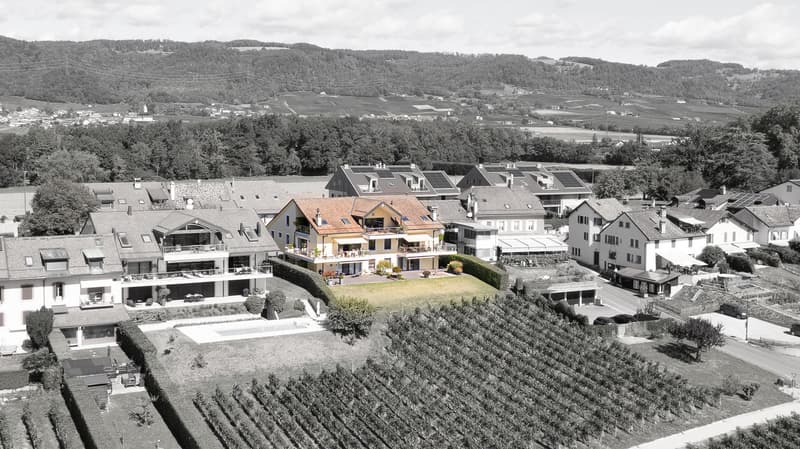 Charmant appartement de 3,5 pièces à Bursinel avec vue panoramique (12)