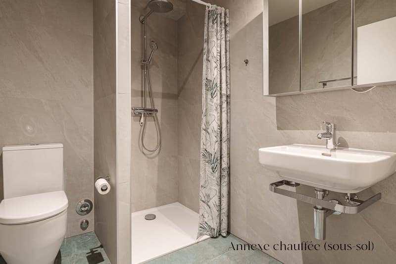 Appartement contemporain dans un cadre privilégié, à Saint-Prex (14)