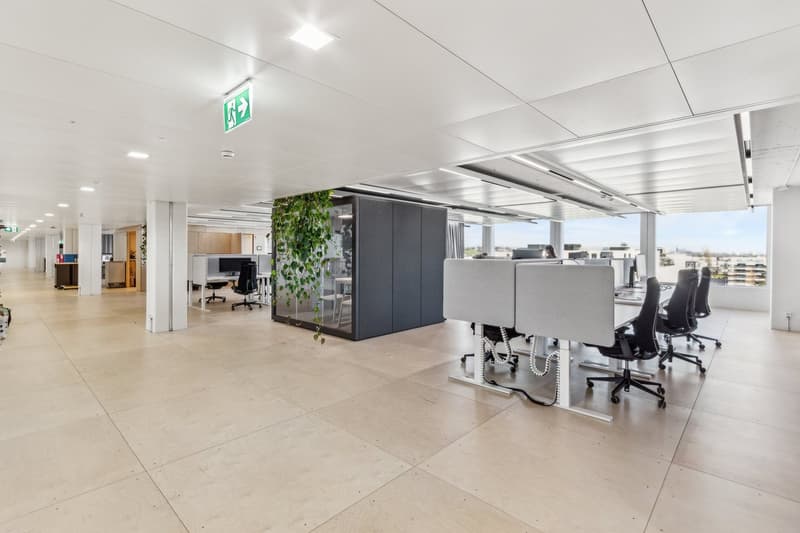 Bureaux de première classe dans une nouvelle rénovation complète à l'AMBASSADOR HOUSE (3)