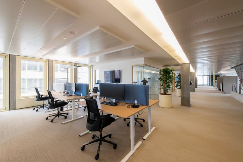 Modern office space with beige carpet, adjustable height desks, modern ergonomic chairs, standing lamp, large glass windows, green plants, large monitor, keyboard, mouse.