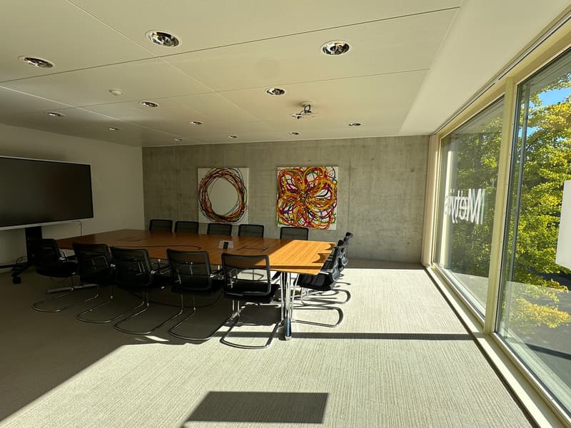 Meeting room with a long wooden table, black modern chairs, large windows, gray walls, two abstract paintings, mounted monitor, recessed ceiling lights
