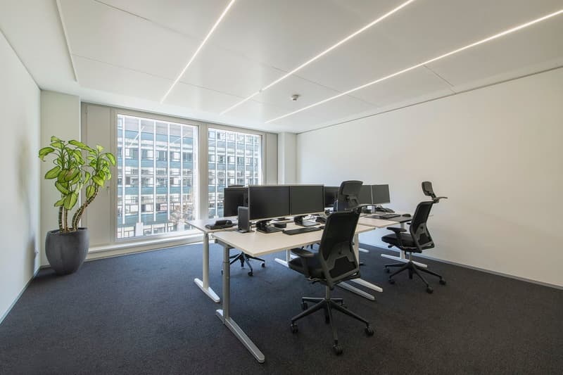 modern office, white walls, white ceiling, white desks, black chairs, large windows, potted plant