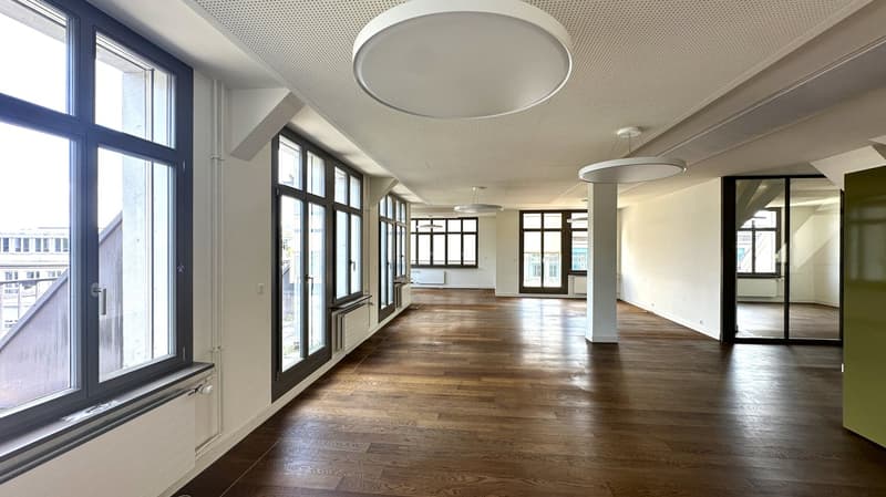 Modern ausgebaute Büros mit Terrassen (2)