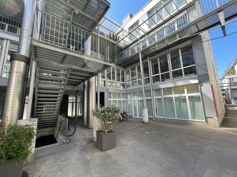 Neuer Vollausbau inkl. Lüftung/Kühlung direkt an der Limmat (2)