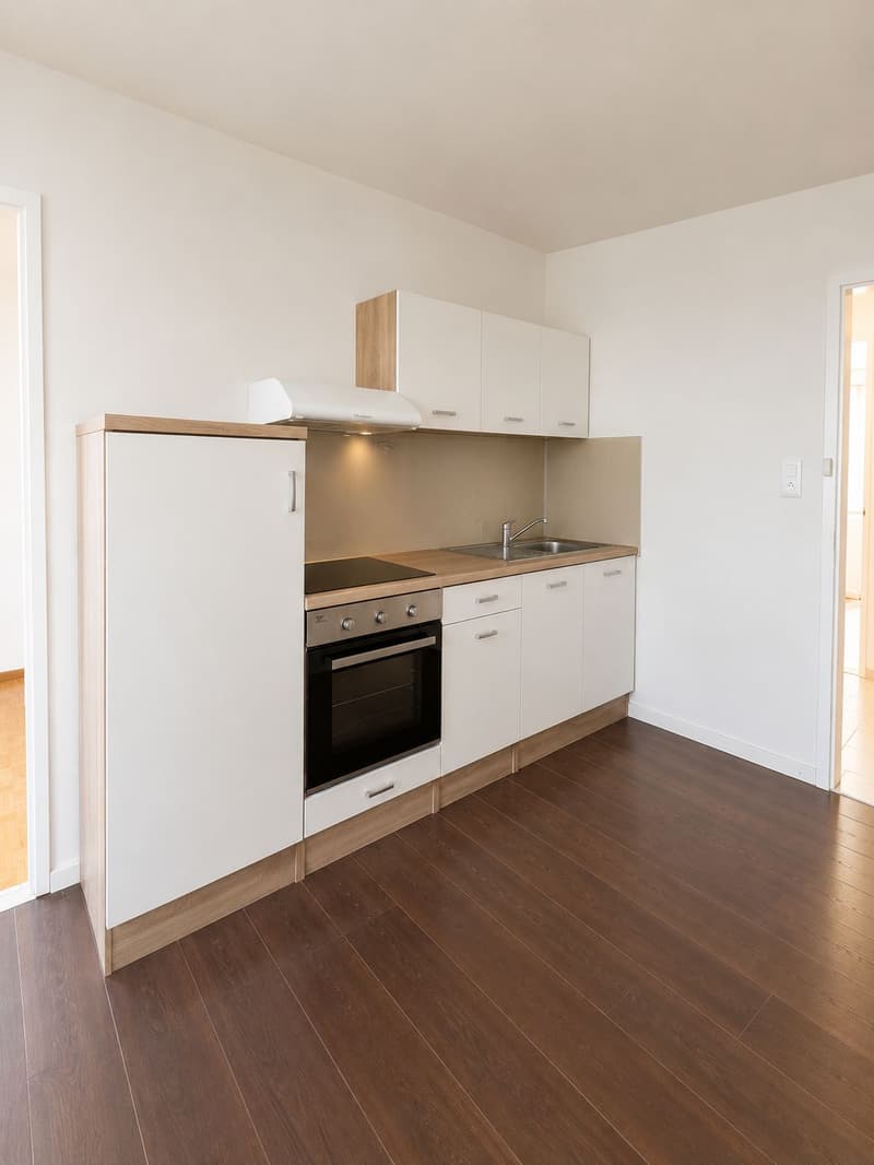 Helles 1.5-Zimmer-Apartment in ruhiger Lage in Dietlikon (2)