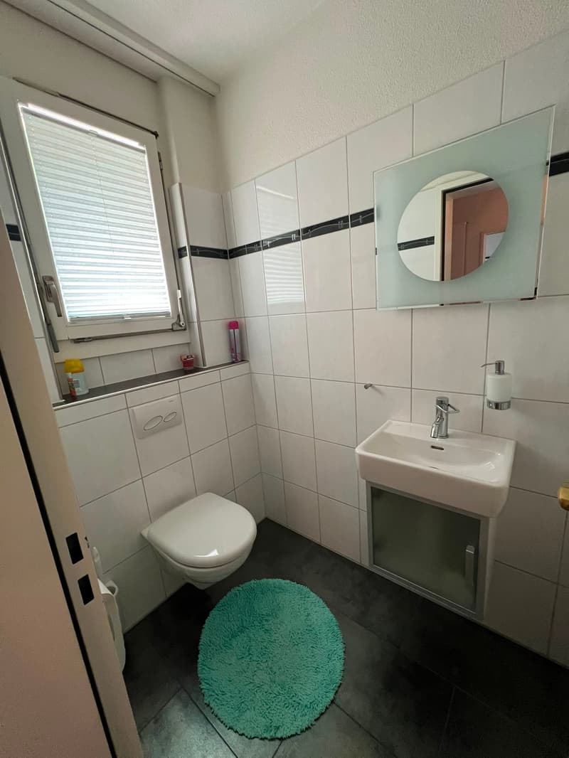 Grosszügiges 9.5-Zimmer-Einfamilienhaus in ruhiger Lage in Kriens (18)