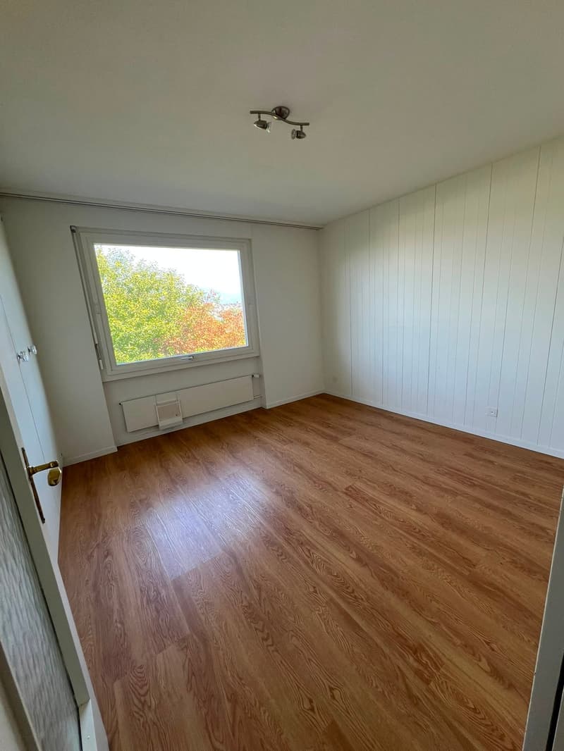 Grosszügiges 9.5-Zimmer-Einfamilienhaus in ruhiger Lage in Kriens (8)