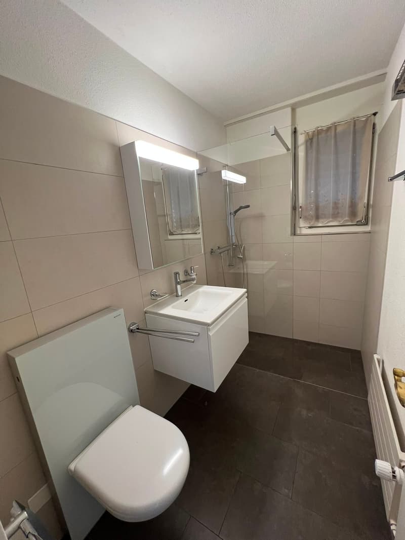 Grosszügiges 9.5-Zimmer-Einfamilienhaus in ruhiger Lage in Kriens (6)