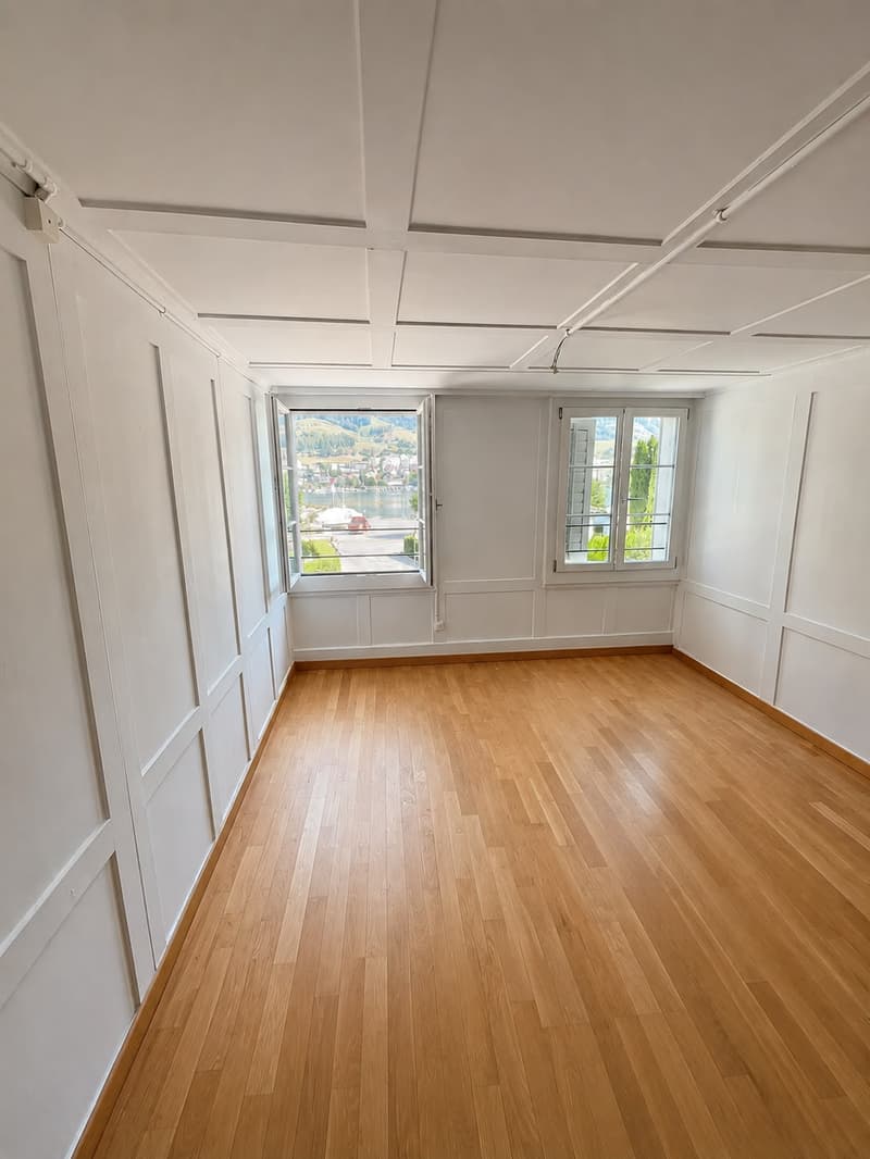 Gemütliche 2-Zimmer-Wohnung in Küssnacht mit schöner Aussicht auf den See (3)
