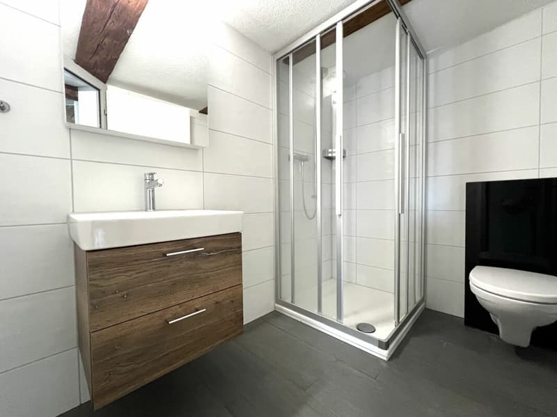 MAISONETTE MIT TERRASSE UND WUNDERBAREM BERGPANORAMA (20)