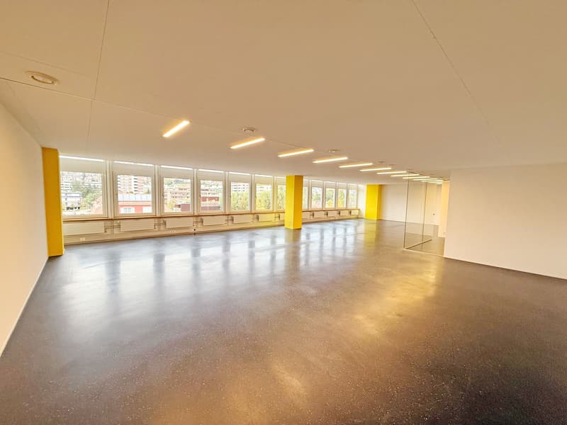 Helle und grosszügige Bürofläche an zentraler Lage (3)