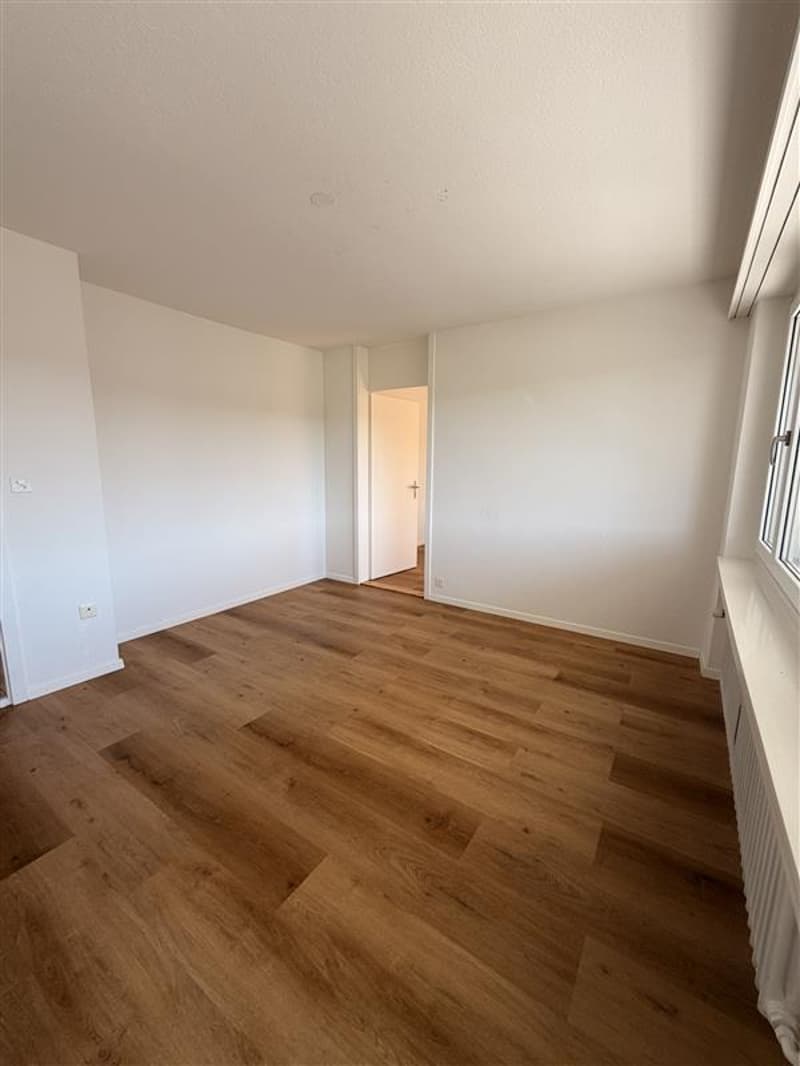 Attaktive 4.0-Zimmerwohnung zu vermieten (8)