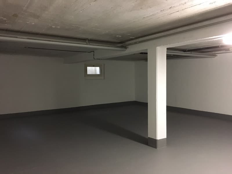 Grosszügiger Lagerraum zu vermieten! (4)