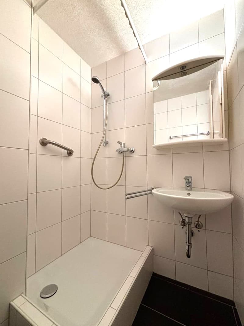 Charmante 2-Zimmerwohnung zu vermieten (5)