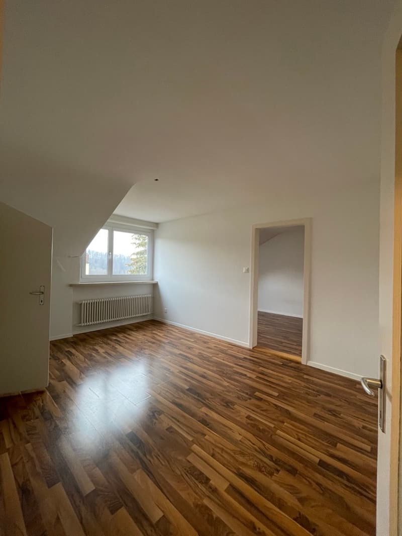 Charmante 2-Zimmerwohnung zu vermieten (3)