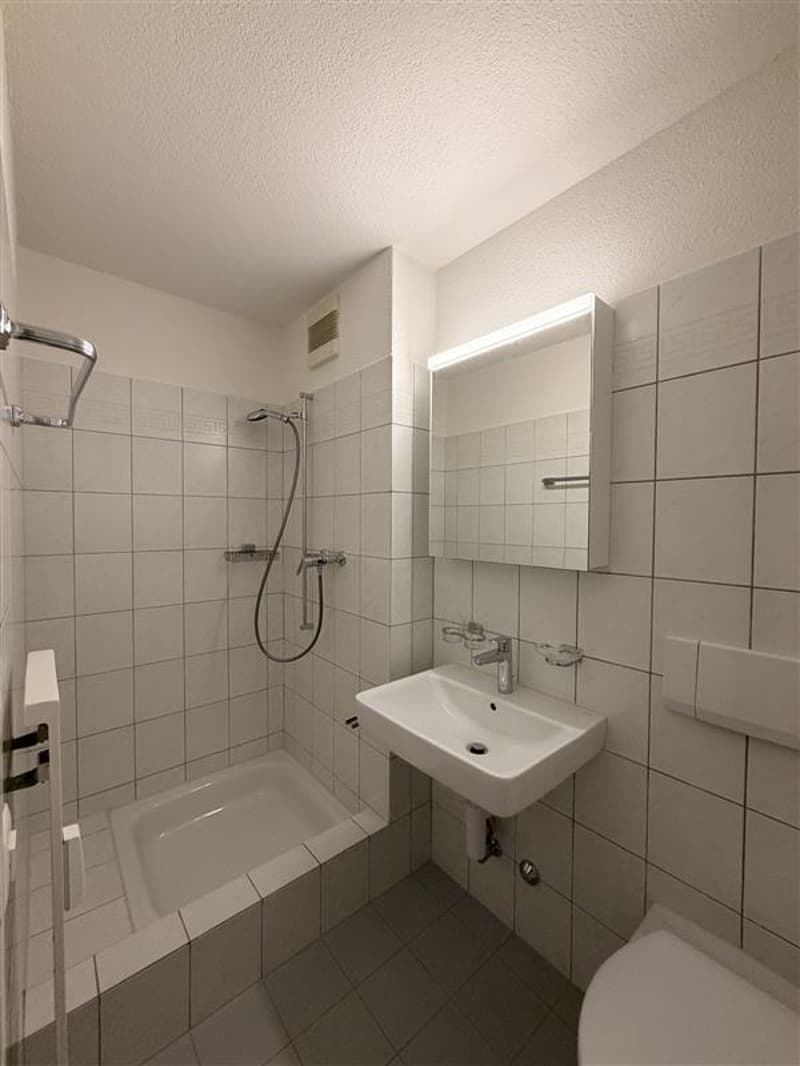 Grosszügige 4.5-Zimmerwohnung  mit Balkon (9)