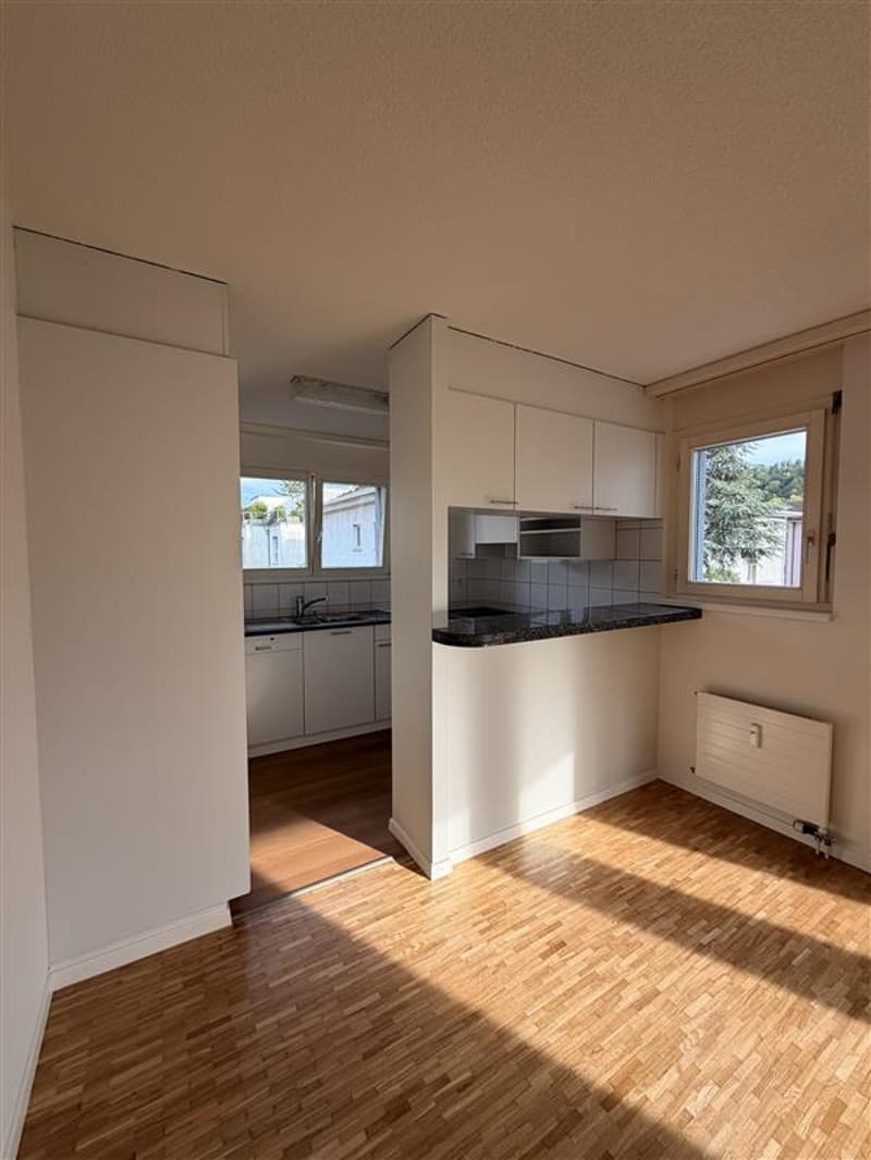 Grosszügige 4.5-Zimmerwohnung  mit Balkon (5)
