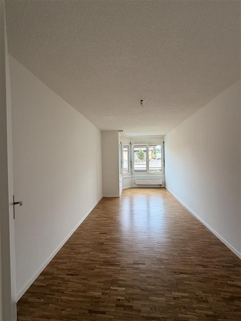 Grosszügige 4.5-Zimmerwohnung  mit Balkon (8)