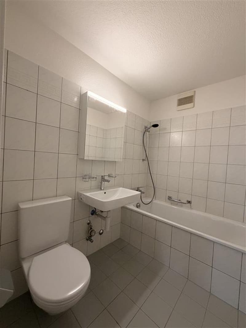 Grosszügige 4.5-Zimmerwohnung  mit Balkon (10)