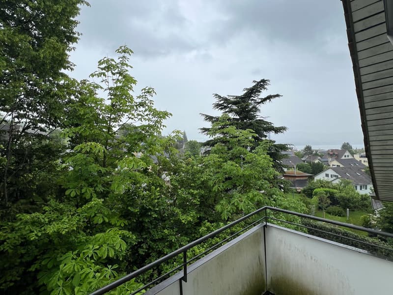 Schöne 4-Zimmer-Wohnung mit Balkon an attraktiver Lage in Dielsdorf (2)
